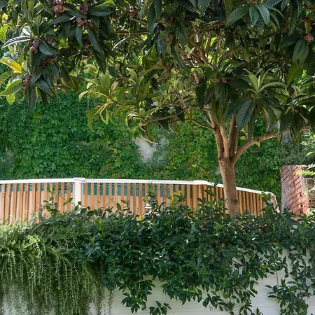Plum Guide - Lemon Tree Lisboa