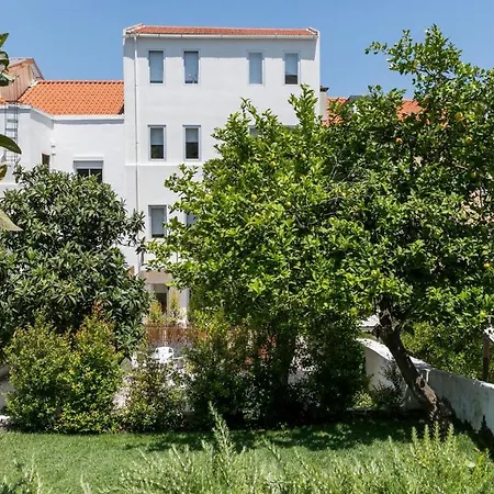 Plum Guide - Lemon Tree ליסבון